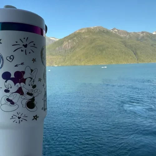 20pcs 30oz Rainbow Plated Tumbler with Portable Handle and Straw for Laser Engraving photo review