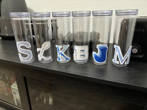 24oz Snow Globe Acrylic Plastic Cup Double Wall with Plug 25pcs photo review