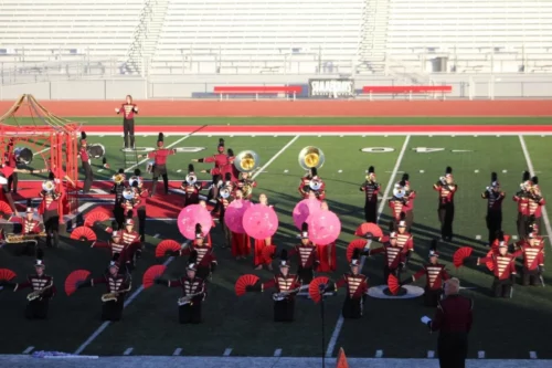 80pcs 13&ldquo; Colored Sublimation Blank Fabric Folding Clacking Fans photo review